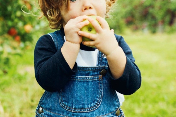 Die Zahl der Veganer*innen in Deutschland steigt von Jahr zu Jahr rapide an. Kein Wunder, dass viele Eltern auch bei der <a href="https://kita-kinderzimmer.de/gesunde-ernaehrung/wie-lecker-schmeckt-gesund/" style="color:#2393dd;">Ernährung ihrer Kinder</a> auf tierische Produkte wie Fleisch, Eier, Milch und Käse verzichten. Mit der veganen Ernährung versprechen sie sich den eigenen Gesundheitszustand und den des Nachwuchses zu verbessern. Außerdem möchten sie ihren Kindern den bestmöglichen Start ins Leben bieten und gleichzeitig Umwelt, Natur und Tiere schützen. Klingt doch eigentlich perfekt, oder?